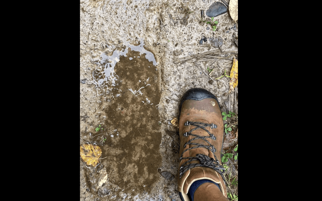 Possible Bigfoot Track Discovered On The Ice Age Trail